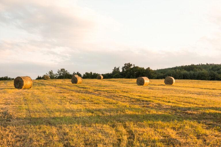 Indice des fermages 2026 : ce qu’il faut retenir pour anticiper vos loyers agricoles